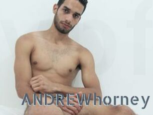 ANDREWhorney