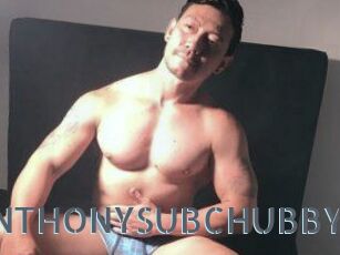 ANTHONYSUBCHUBBY