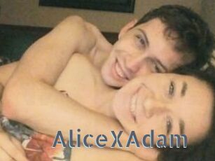 Alice_X_Adam