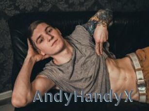 AndyHandyX