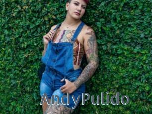AndyPulido