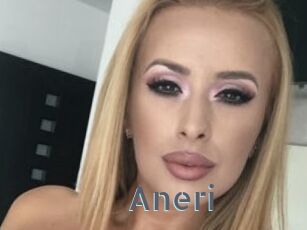 Aneri