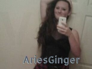 AriesGinger