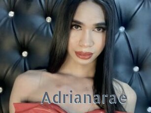 Adrianarae