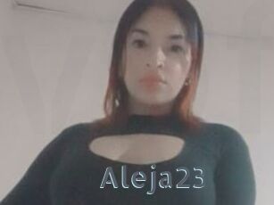 Aleja23