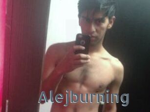 Alejburning