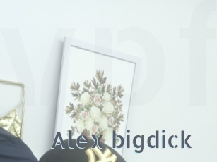 alex_bigdick Vidéos Porno FR