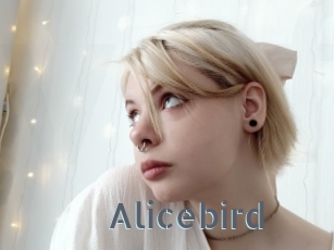 Alicebird
