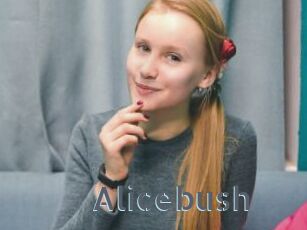 Alicebush
