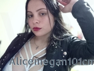 Alicemegan101cm