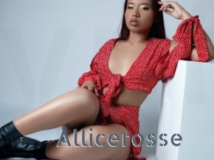 Allicerosse
