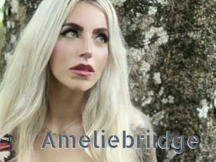 Ameliebriidge
