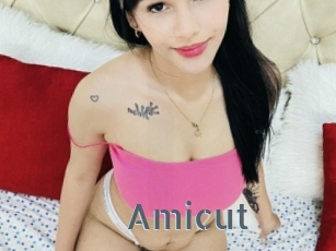 Amicut