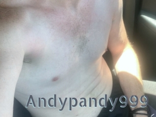 Andypandy999