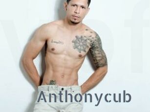 Anthonycub
