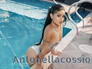 antonellacossio Vidéos Porno FR