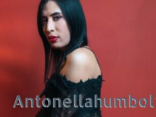 Antonellahumbolt