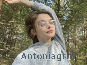 Antoniagriff