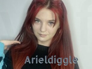 Arieldiggle