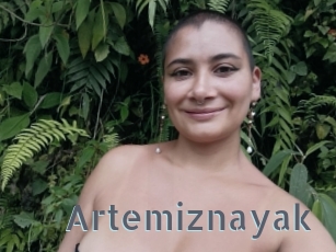Artemiznayak