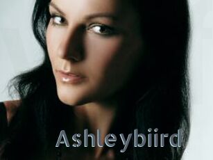 Ashleybiird