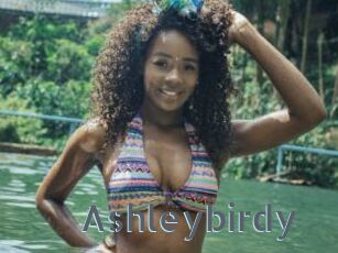 Ashleybirdy