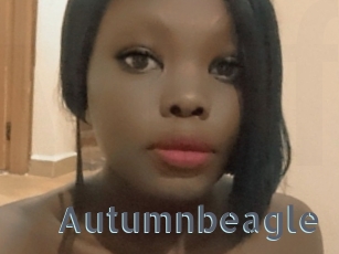 autumnbeagle Vidéos Porno FR