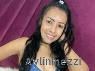 Aylinmezzi