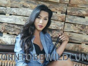 BORNTOBEWILDCUM
