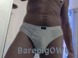BarepigOWL
