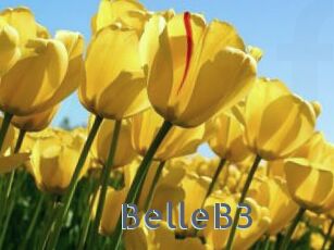 BelleB3 Vidéos Porno FR