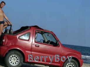 BerryBoy
