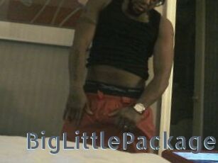 BigLittlePackage