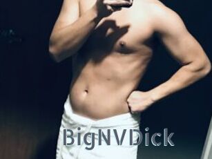 BigNVDick