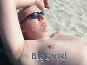 Bigbyrd