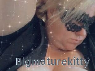 Bigmaturekitty