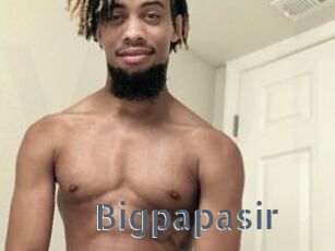 Bigpapasir