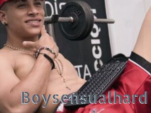 Boysensualhard