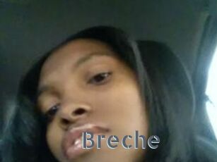 Breche
