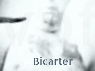 Bicarter