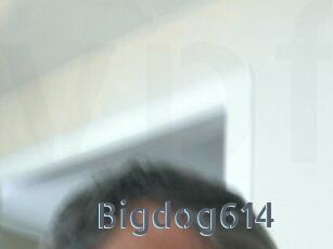 Bigdog614