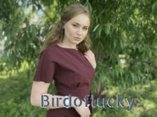Birdoflucky
