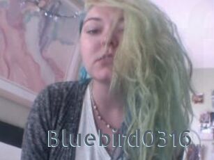 Bluebird0316