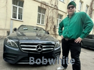 Bobwhite