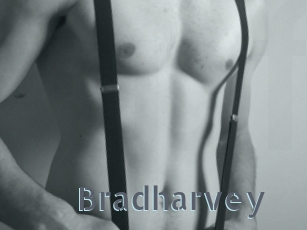 Bradharvey