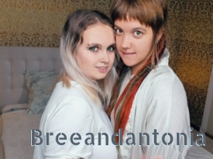 Breeandantonia