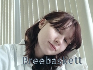 Breebaskett