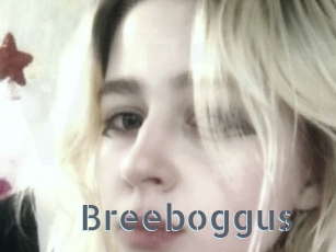 Breeboggus