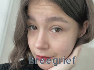 Breegrief
