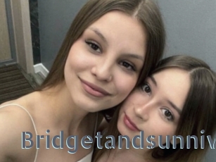 Bridgetandsunniv